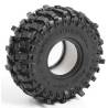 Coppia gomme 1.9 M.Thompson BAJA PRO X con inserti by RC4WD