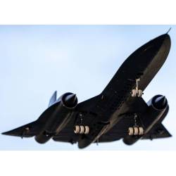 SR-71 EDF Jet BNF Basic with AS3X and SAFE by E-Flite UMX