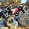 Coppia cerchi HOLCOMB 1.9" IN NYLON BEADLOCK by Pro-Line