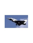 Electric ducted-fan jets