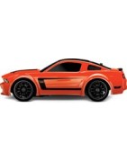 1/16 Traxxas Slash & Rally