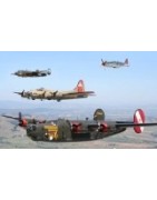 WW II