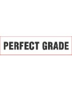 Perfect Grade 1/60
