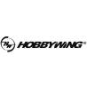 Hobbywing